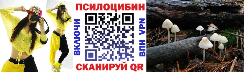 Галлюциногенные грибы мухоморы  Темников 